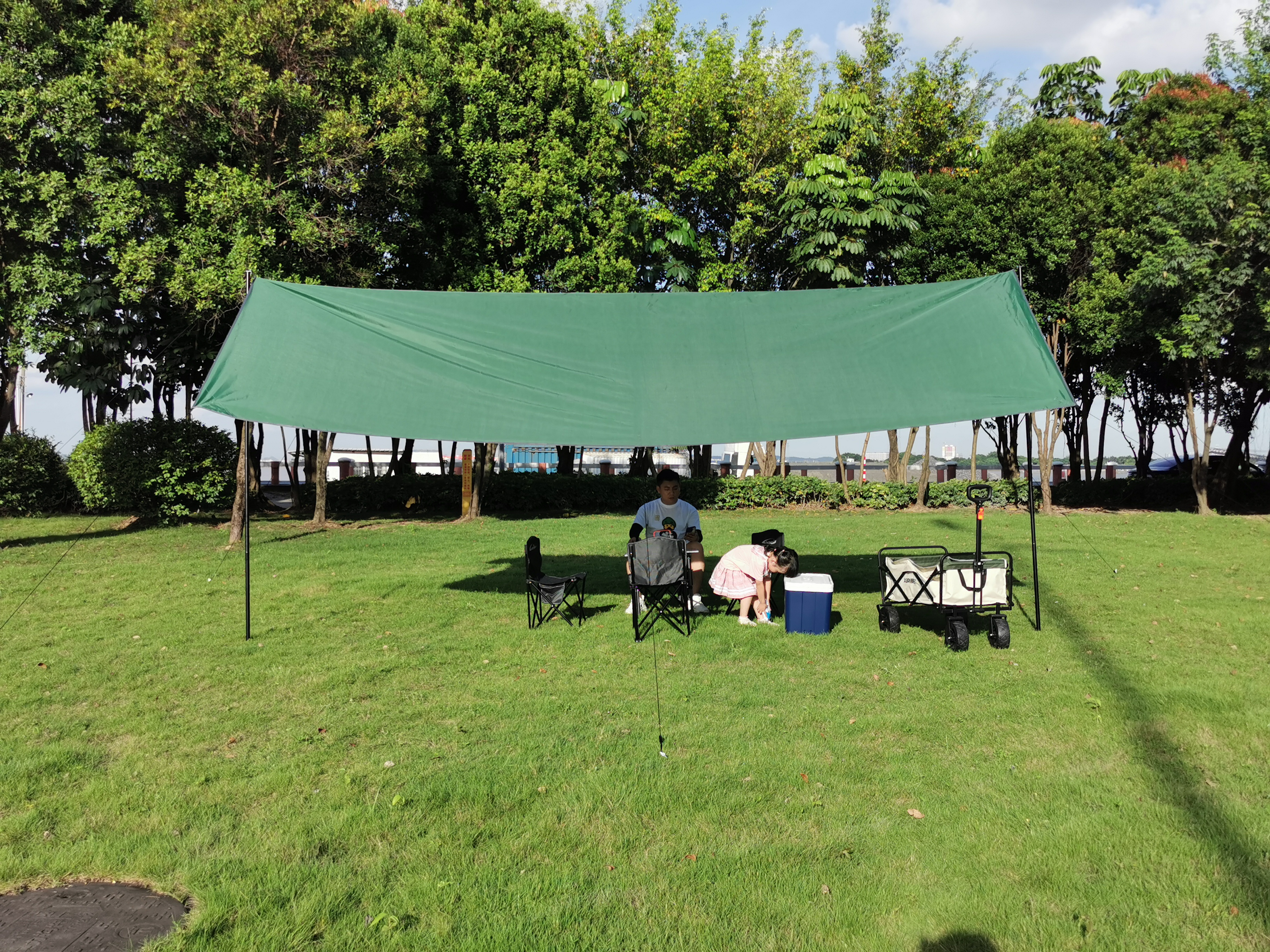 Pop Up Canopy 10x10