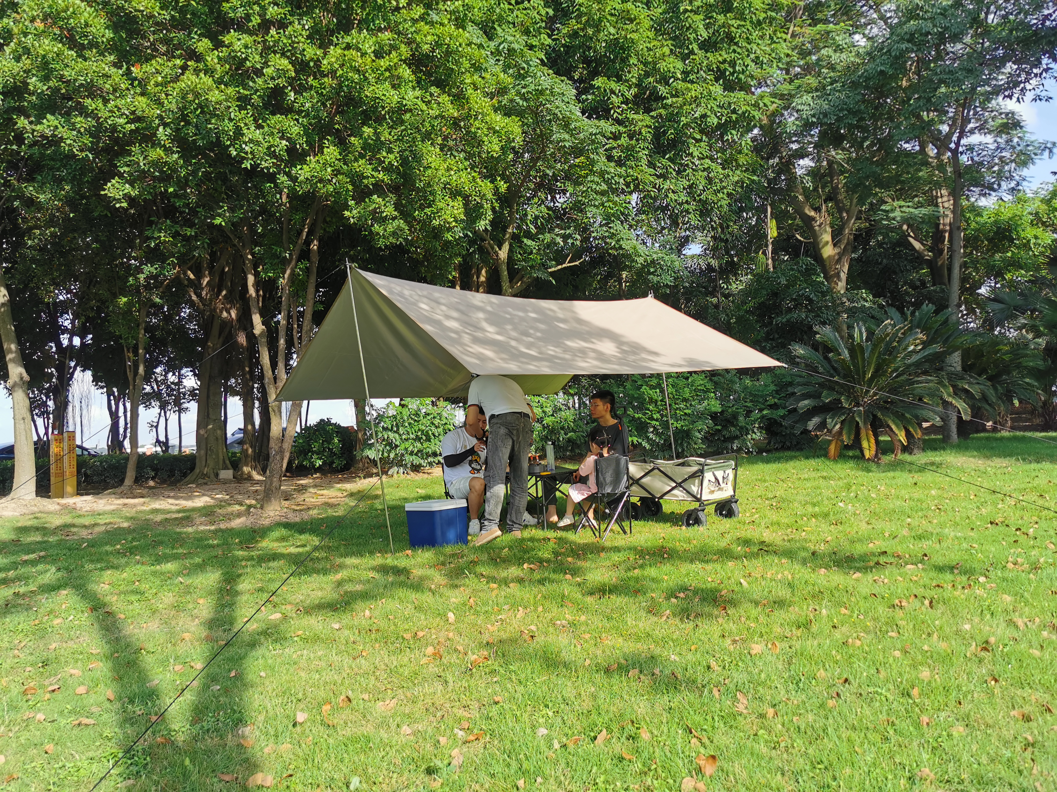 Pop -up -Baldachin -Zelt